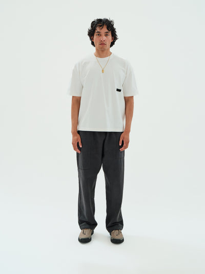 Earth\Studies MP-106 H.A.B. Pant Basalt