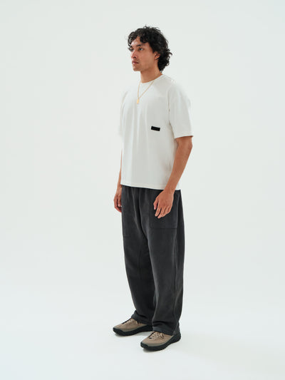 Earth\Studies MP-106 H.A.B. Pant Basalt