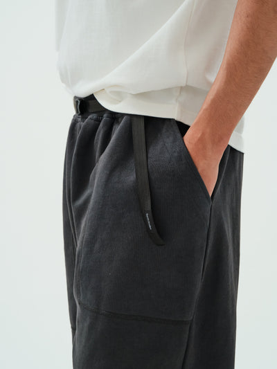 Earth\Studies MP-106 H.A.B. Pant Basalt