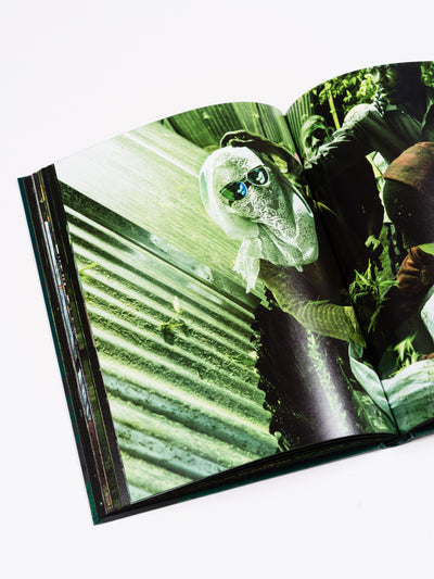 NSENENE by Michele Sibiloni