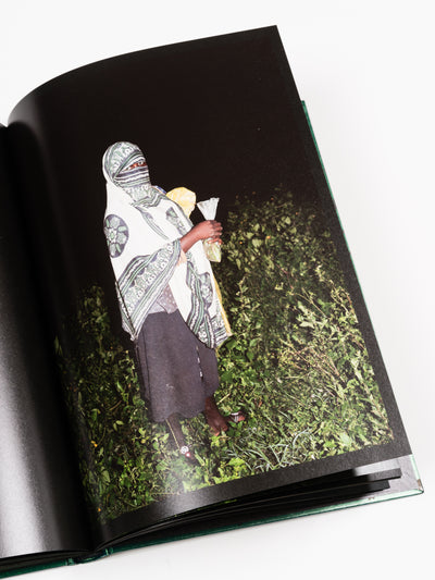 NSENENE by Michele Sibiloni